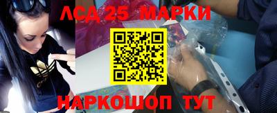 гидропоника Пушкино