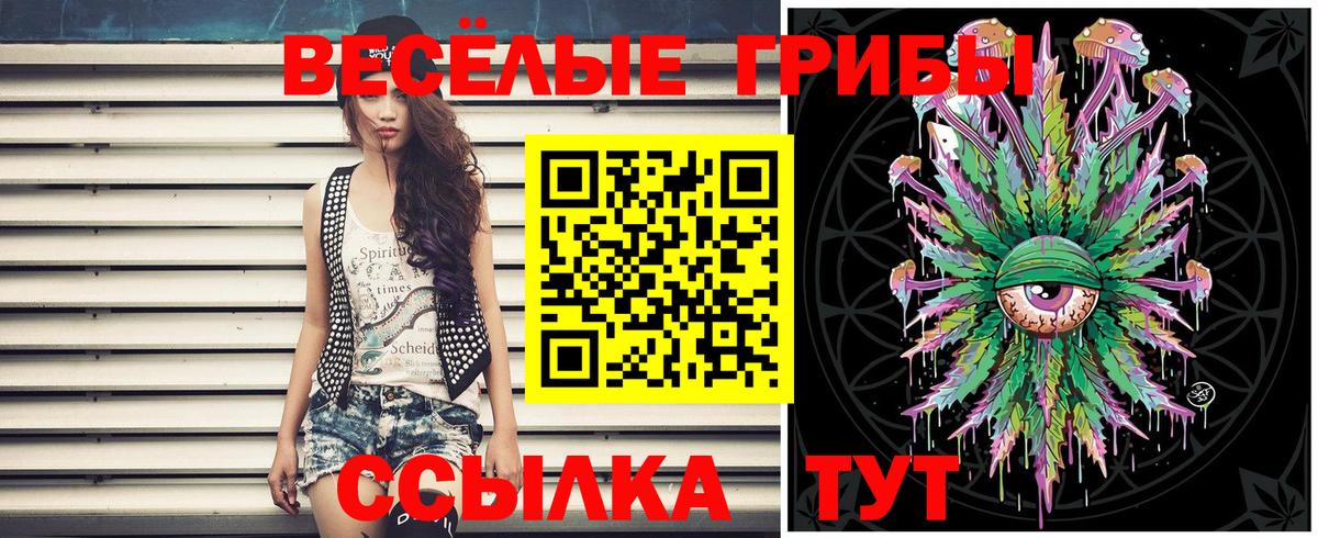 Ростов-на-Дону  Галлюциногенные грибы Psilocybe  Вход с VPN  Галлюциногенные грибы прущие грибы 
