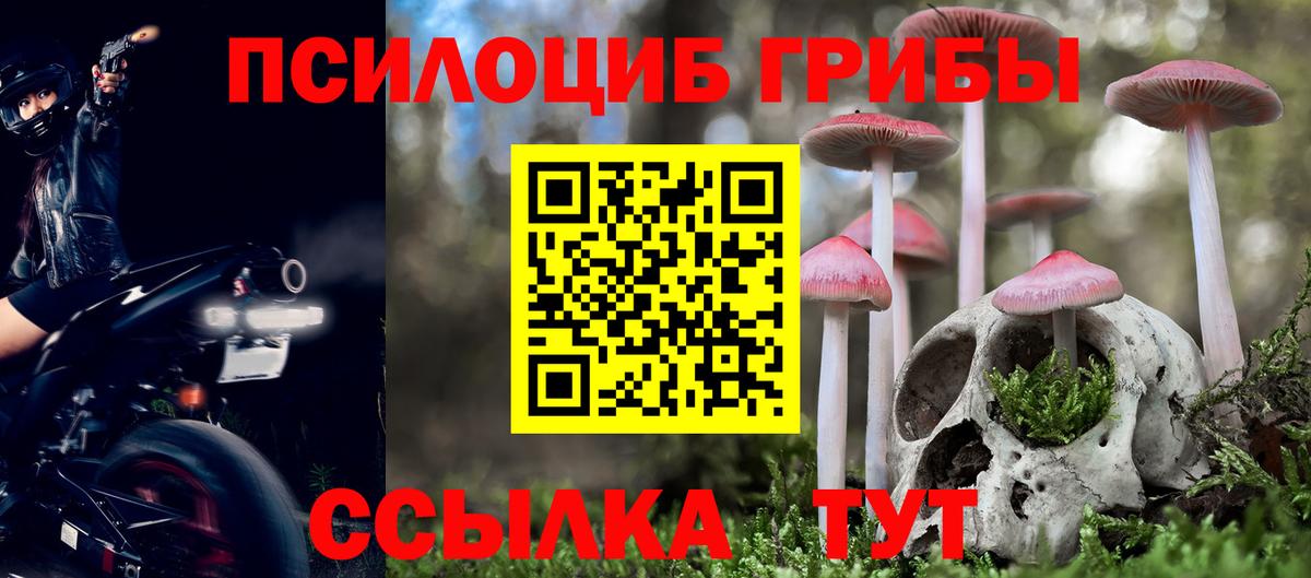 Галлюциногенные грибы прущие грибы Ростов-на-Дону